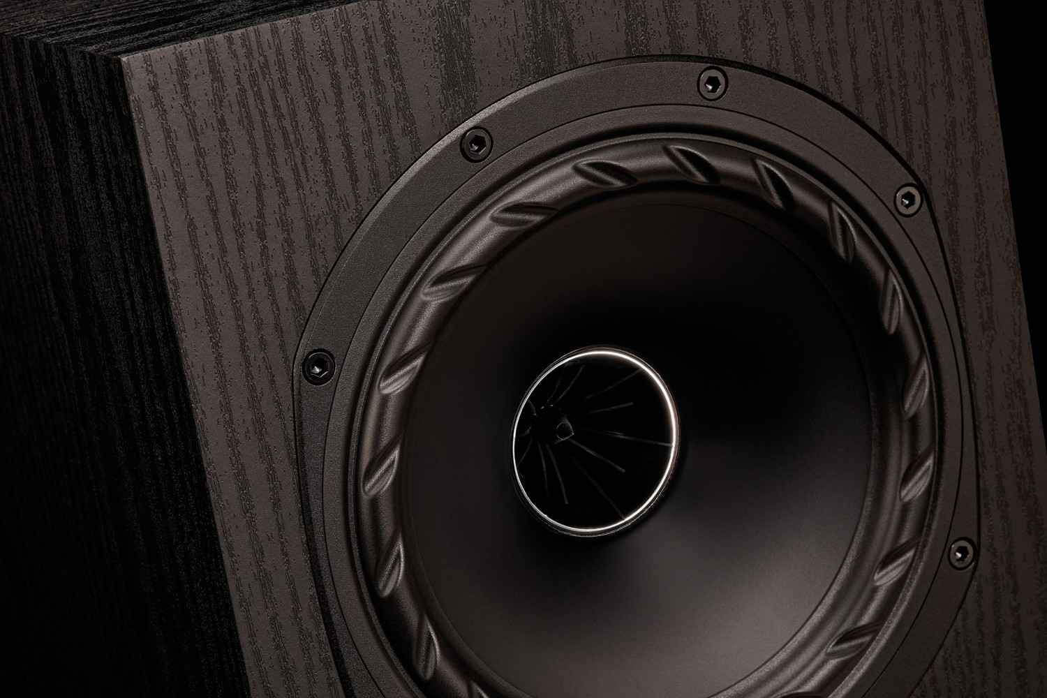Der Türöffner: Fyne Audio F501E, Bild 3 Lautsprecher Stereo Fyne Audio F501E im Test, Bild 3