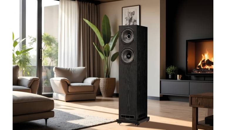 Der Türöffner: Fyne Audio F501E, Bild 1 Lautsprecher Stereo Fyne Audio F501E im Test, Bild 1